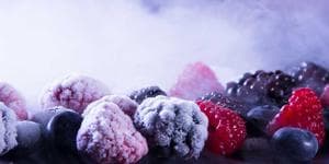 EAF-Nansen Programme Logo